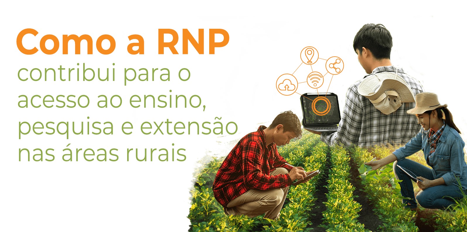 Como a RNP contribui para o acesso ao ensino, pesquisa e extensão nas áreas rurais