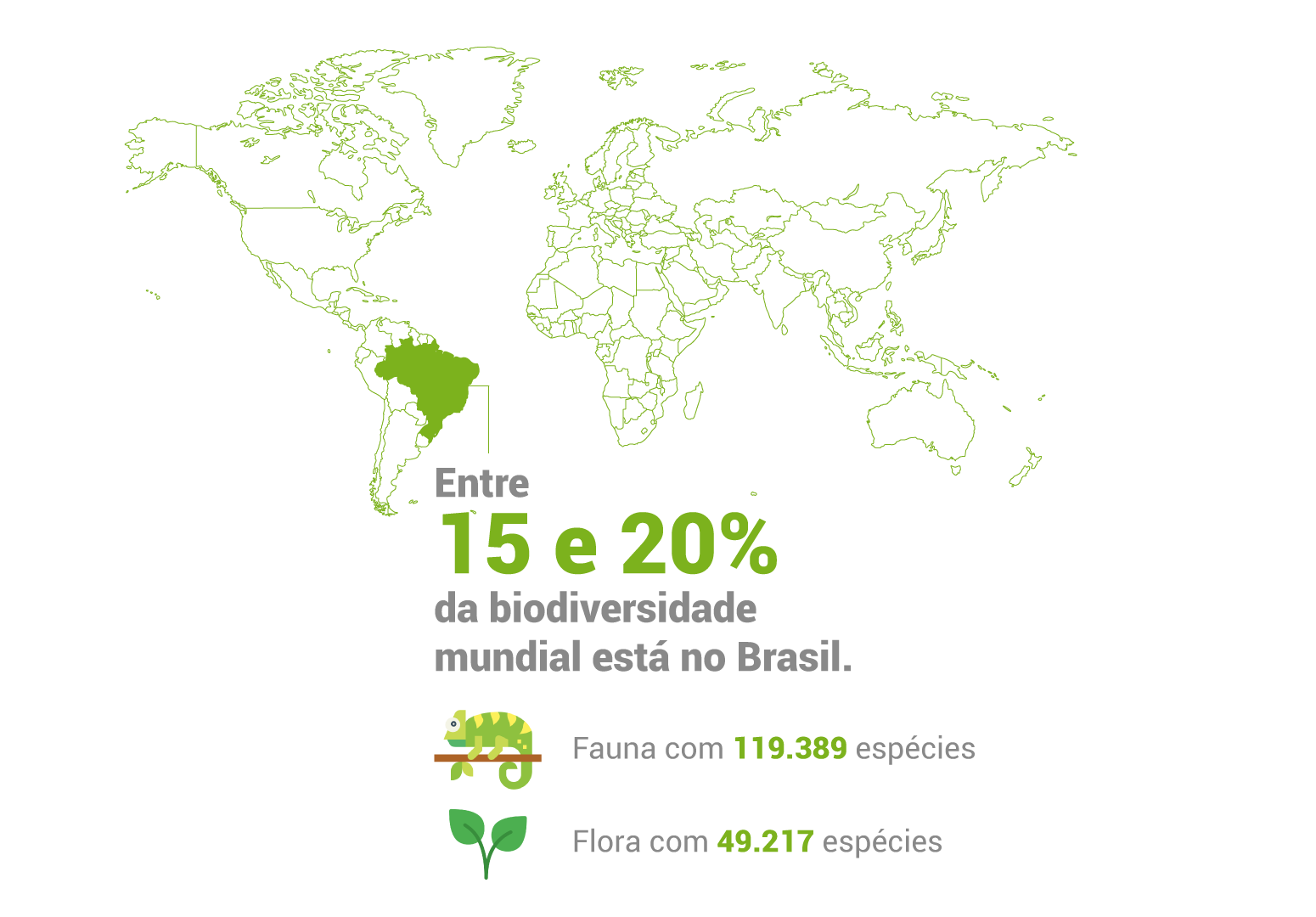 Entre 15 e 20% da diversidade biológica mundial está no Brasil