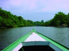 Embarcação em rio na região amazônica