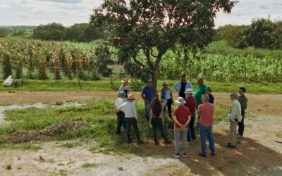 Quando o conhecimento vira semente: novo episódio da série RNP destaca legado compartilhado